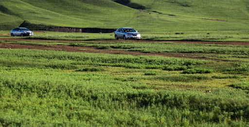 Бэлчээрийн ургамлын ургалт нийт нутгийн 50 орчим хувьд сайн байна